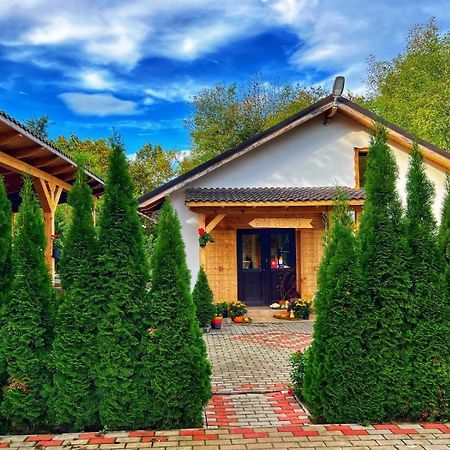 River Residence Chalet Стацьюня-Климатерикэ-Сымбэта Экстерьер фото