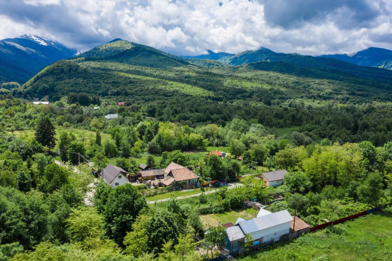 River Residence Chalet Стацьюня-Климатерикэ-Сымбэта Экстерьер фото