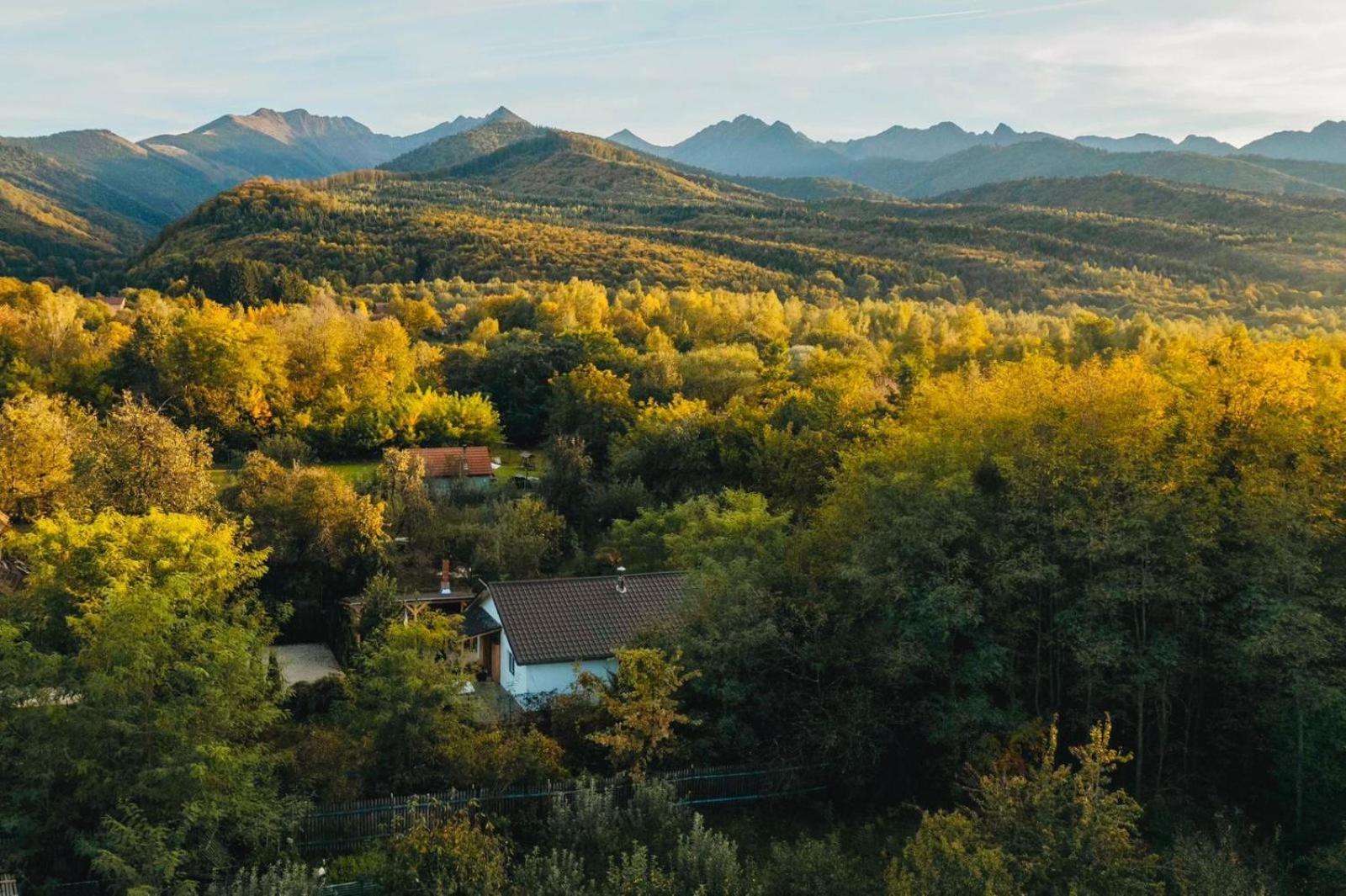 River Residence Chalet Стацьюня-Климатерикэ-Сымбэта Экстерьер фото